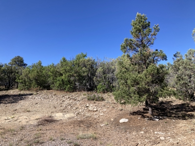 2.02 Acres Near Chama and Tierra Amarilla With Great Views - image 4