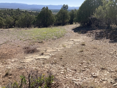 2.02 Acres Near Chama and Tierra Amarilla With Great Views - image 5