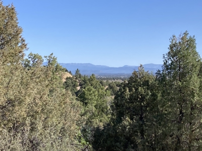 2.02 Acres Near Chama and Tierra Amarilla With Great Views - image 2