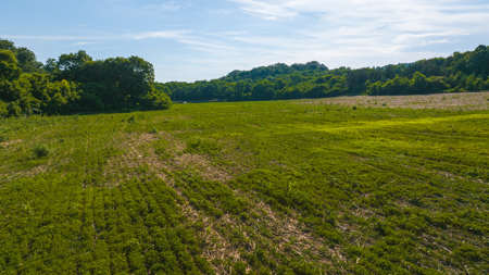 Creekfront Row Crop Land in East Tennessee Land Greene County - image 26
