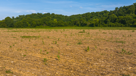 Creekfront Row Crop Land in East Tennessee Land Greene County - image 12