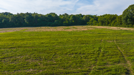 Creekfront Row Crop Land in East Tennessee Land Greene County - image 6