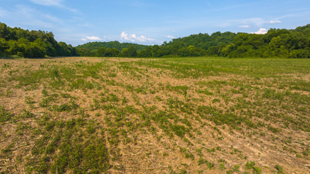 Creekfront Row Crop Land in East Tennessee Land Greene County - image 13