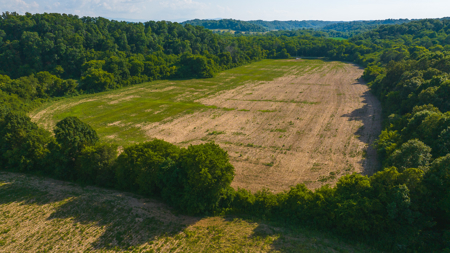 Creekfront Row Crop Land in East Tennessee Land Greene County - image 24