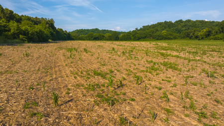 Creekfront Row Crop Land in East Tennessee Land Greene County - image 18
