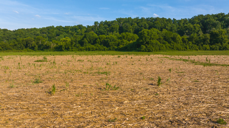 Creekfront Row Crop Land in East Tennessee Land Greene County - image 10