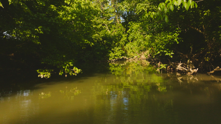 Creekfront Row Crop Land in East Tennessee Land Greene County - image 22