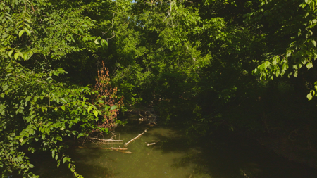Creekfront Row Crop Land in East Tennessee Land Greene County - image 23