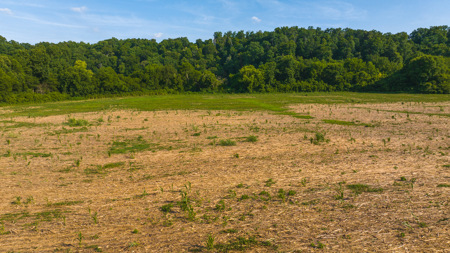Creekfront Row Crop Land in East Tennessee Land Greene County - image 29