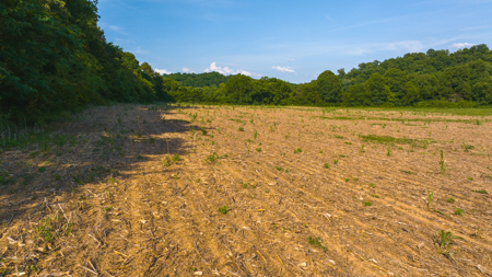 Creekfront Row Crop Land in East Tennessee Land Greene County - image 11