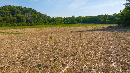 Creekfront Row Crop Land in East Tennessee Land Greene County - image 9