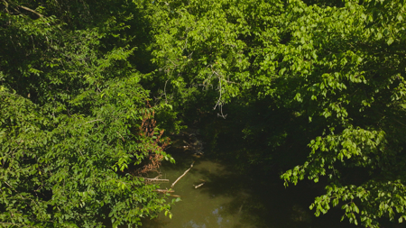 Creekfront Row Crop Land in East Tennessee Land Greene County - image 34