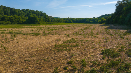 Creekfront Row Crop Land in East Tennessee Land Greene County - image 27
