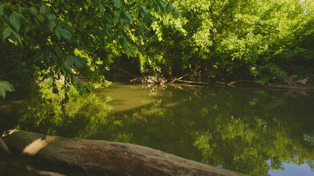 Creekfront Row Crop Land in East Tennessee Land Greene County - image 21