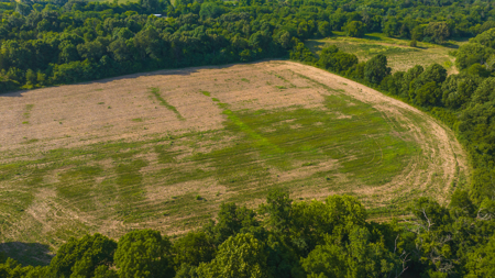 Creekfront Row Crop Land in East Tennessee Land Greene County - image 1