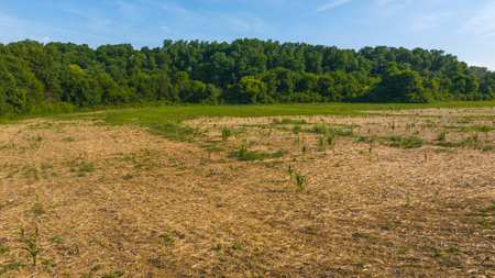 Creekfront Row Crop Land in East Tennessee Land Greene County - image 8