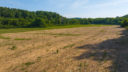 Creekfront Row Crop Land in East Tennessee Land Greene County - image 28