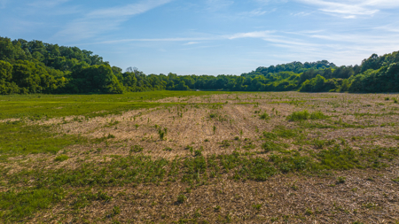Creekfront Row Crop Land in East Tennessee Land Greene County - image 7