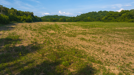 Creekfront Row Crop Land in East Tennessee Land Greene County - image 31