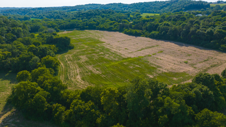 Creekfront Row Crop Land in East Tennessee Land Greene County - image 3