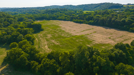 Creekfront Row Crop Land in East Tennessee Land Greene County - image 2
