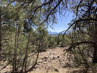 Mostly Level 3.16 Acre Lot In Parkview Hills With Lots Of Trees - image 6