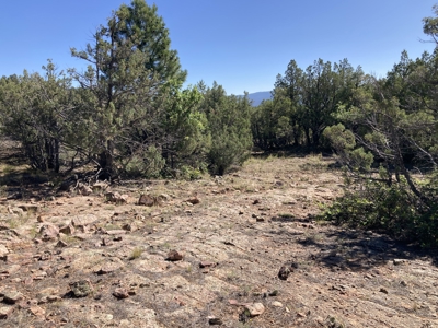 Mostly Level 3.16 Acre Lot In Parkview Hills With Lots Of Trees - image 11