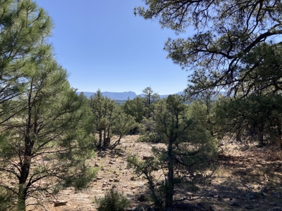 Mostly Level 3.16 Acre Lot In Parkview Hills With Lots Of Trees - image 8