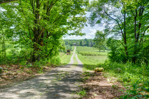 Farm For Sale