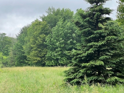 Large Acreage Retreat With Blueberry Farm For Sale in Dolgeville - image 12