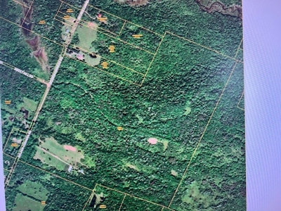 Large Acreage Retreat With Blueberry Farm For Sale in Dolgeville - image 9