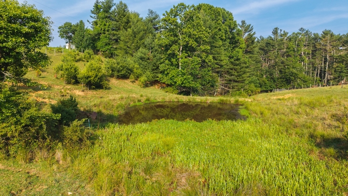 Modern Country Home For Sale in Pilot VA