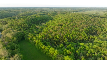 Hayes Haven Ranch - Two Gorgeous Log Homes on 250+ Acres - image 45