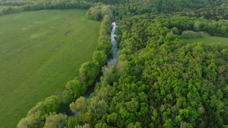 Hayes Haven Ranch - Two Gorgeous Log Homes on 250+ Acres - image 49