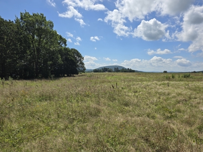 Sans Bois Mountain Ranch – For Sale - image 24