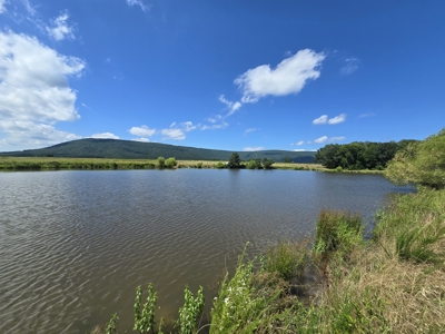 Sans Bois Mountain Ranch – For Sale - image 22