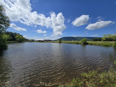 Sans Bois Mountain Ranch – For Sale - image 15