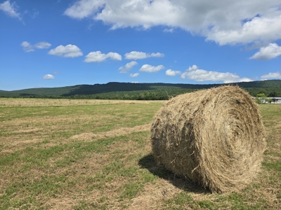 Sans Bois Mountain Ranch – For Sale - image 21