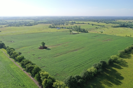 Top-Quality Harrison County Farm – 517 Acres m/l - image 38