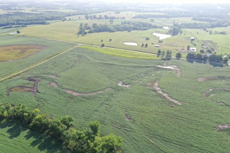 Top-Quality Harrison County Farm – 517 Acres m/l - image 26