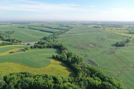 Top-Quality Harrison County Farm – 517 Acres m/l - image 11