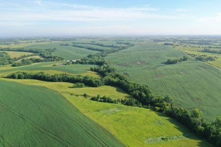 Top-Quality Harrison County Farm – 517 Acres m/l - image 9