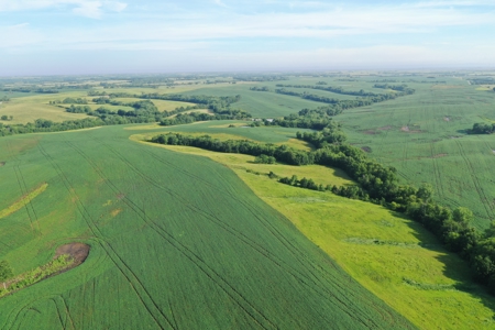 Top-Quality Harrison County Farm – 517 Acres m/l - image 7