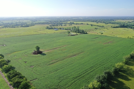 Top-Quality Harrison County Farm – 517 Acres m/l - image 37