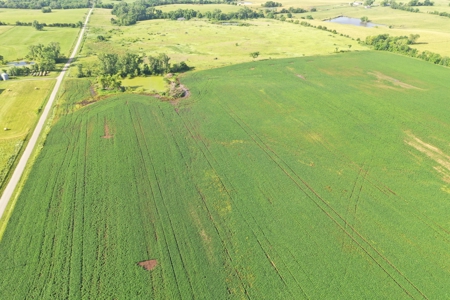 Top-Quality Harrison County Farm – 517 Acres m/l - image 36