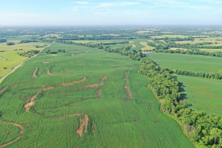 Top-Quality Harrison County Farm – 517 Acres m/l - image 20