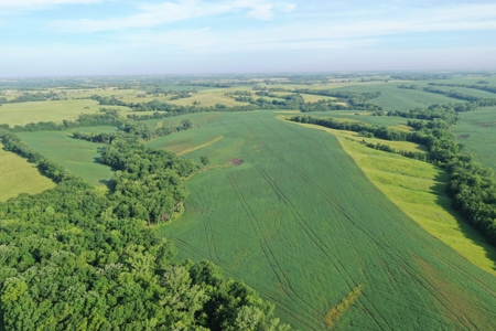 Top-Quality Harrison County Farm – 517 Acres m/l - image 4