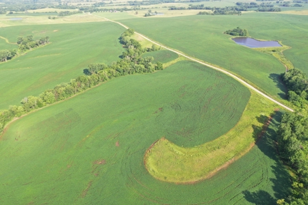 Top-Quality Harrison County Farm – 517 Acres m/l - image 21