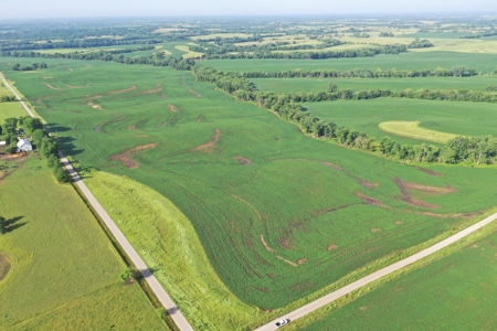 Top-Quality Harrison County Farm – 517 Acres m/l - image 15