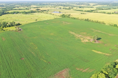Top-Quality Harrison County Farm – 517 Acres m/l - image 35